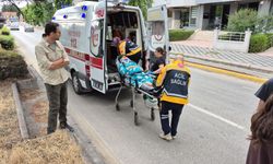 Eskişehir'de Minibüs Anneanne ve Toruna Çarptı