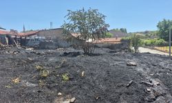 Eskişehir’de Otluk Alanda Yangın Paniği