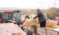 Balya desteği için başvurular devam ediyor