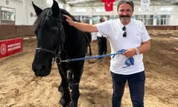 Uluslararası atlı dayanıklılık yarışları Eskişehir'de tamamlandı