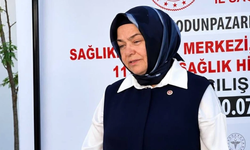 Ayşen Gürcan'dan TEI Tesislerindeki Yangın Hakkında Açıklama