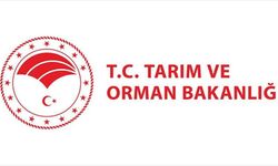 Tarım ve Orman Bakanlığı 1874 Personel Alacak