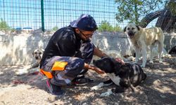 Büyükşehir Kıravdan Doğal Yaşam Alanı 3. Etabını Açtı