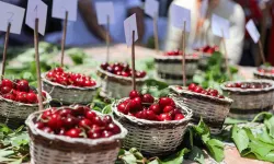 Eskişehir’den Festivale Ücretsiz Ulaşım Sağlanacak