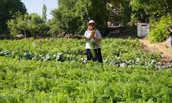 Kadın üreticilerin dalından koparılan emeği kazanca dönüşüyor