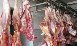 Bakanlık İfşa Etti: At ve Eşek Eti Çıktı