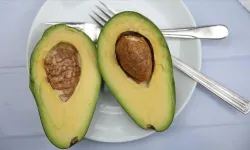 Avokado Obezlerde Kalp Riskini Azaltıyor