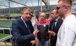 Vali Yılmaz’dan Sarıcakaya’daki Fide Üretim Tesisine Ziyaret