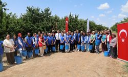 Mihalıççık İlçesinde Gençlerin Katılımıyla Kiraz Hasadı Yapıldı