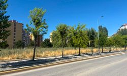 Eskişehir'de Eti Caddesi'ndeki Eski Park Alanı Çözüm Bekliyor