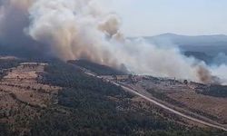 Bayramiç'te Orman Yangını: Alevlere Havadan ve Karadan Müdahale Ediliyor