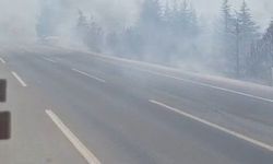 Eskişehir-Bursa Yolunda Yangın