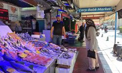 Eskişehir’de Palamut Bolluğu Müjdesi
