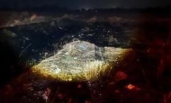 Sivrihisar’da Kuş Yangına Sebep Oldu