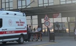 Porsuk Çayı’nda Saldırı Yapan Kişi Tutuklandı