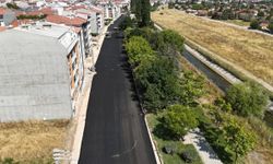 Büyükşehir Ekipleri Birlik Caddesi’nde Asfalt Çalışmasını Tamamladı
