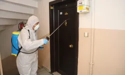 Apartmanlarda Böcek İlaçlama Riskleri ve Güvenlik Önlemleri