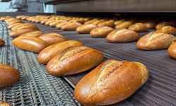Halk Ekmek’ten Ekşi Mayalı Tam Buğday Ekmeği Satışta