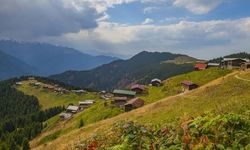 Rize’de 600 Metrelik Uçurumda Feci Son