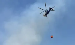Bilecik'te Orman Yangını Kontrol Altında