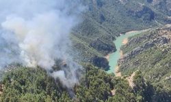 Enizçakırı'nda Yön Bulan Orman Yangınına Müdahale Sürüyor