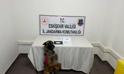 Uyuşturucu Operasyonu: 11 Şüpheli Tutuklandı