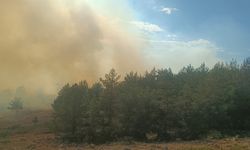 Bolu'daki Orman Yangınına Havadan Müdahale!