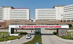 Polis Memuruna Çarparak Kaçan Sürücü Tutuklandı