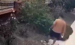 İzmir'de Yavrulu Kediye Tekme Atan Şüpheli Yakalandı