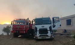 Adana'da Orman Yangını: Enerji Nakil Hattı Şüphesi
