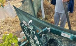 Eskişehir’de Bahçe Tellerine Zarar Verildi: Şüpheliler Aranıyor