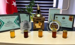 Hobi Olarak Başladığı Arıcılıkta Ödüllü Balını Dünya Pazarına Taşımaya Hazırlanıyor