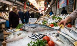 Hangi Ayda Hangi Balık Yenir?