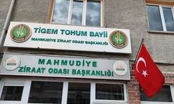 Mahmudiye Ziraat Odası Kaba İnşaat İhalesi Düzenliyor