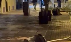 İsmet İnönü Caddesi'nde saksıları deviren şahıs kamerada