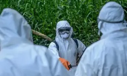 DSÖ'den Açıklama: KDC'de Ebola Salgını Yayılıyor