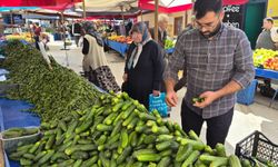 Pazarlarda turşuluk telaşı: Kornişon salatalık zamlandı