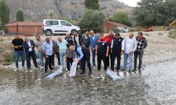 Eskişehir'in gölet ve barajları balıklandırıldı