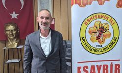 Eskişehirli Arıcılarda Bal Rezonansı: Bitki Varlığımız İngiltere'den Bile Fazla!
