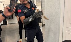 İtfaiye Erlerinden Can Dostlara Nefes Aldıran Müdahale: Dakikalarla Yarıştılar!