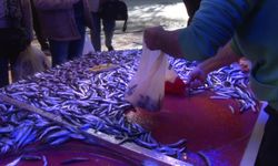 Eskişehirli Balıkçıdan Tüketicilere 'Süre' Uyarısı