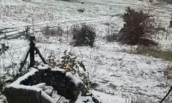 Eskişehir'in Alpu İlçesinde Kar Yağışı Etkili Oldu