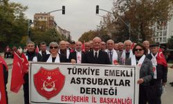 TEMAD Eskişehir İl Başkanlığı Üyeleri 29 Ekim Geçit Töreninde Yürüdü!