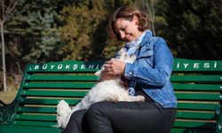Başkan Ayşe Ünlüce’den 4 Ekim Dünya Hayvanları Koruma Günü Mesajı