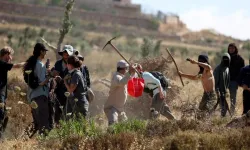Batı Şeria'da Filistinli Çiftçilere Saldırı Düzenlendi