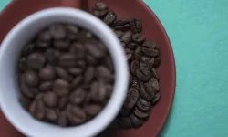 Hangisi Daha Sağlıklı: Filtre Kahve mi, Türk Kahvesi mi?
