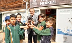 Tepebaşı Doğal Yaşam Merkezi binlerce can dosta umut oldu