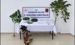 Eskişehir'de Kaçakçılık Operasyonu: 1 Tutuklama