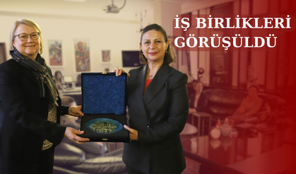 Finlandiya Büyükelçisinden Başkan Ünlüce'ye ziyaret