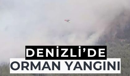Pamukkale ilçesinde orman yangını çıktı